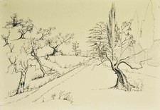 Paesaggio di Campagna Disegno