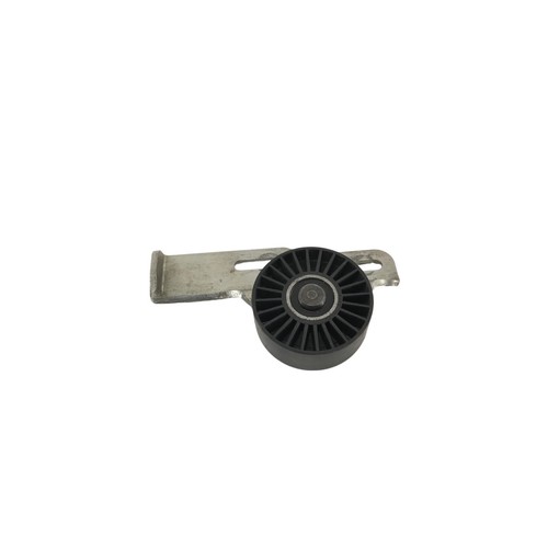 Rullo tendicinghia renault - tendicinghia,