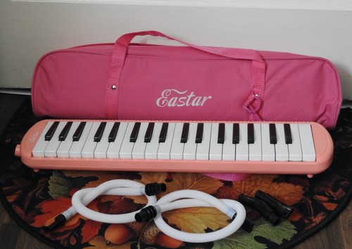 Custodia melodica tasti - 37,
