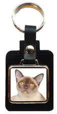 Burmese Cat Pet Black Leather
