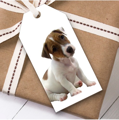 Adorabile bomboniera regalo