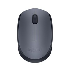 Logitech Mouse wireless M170