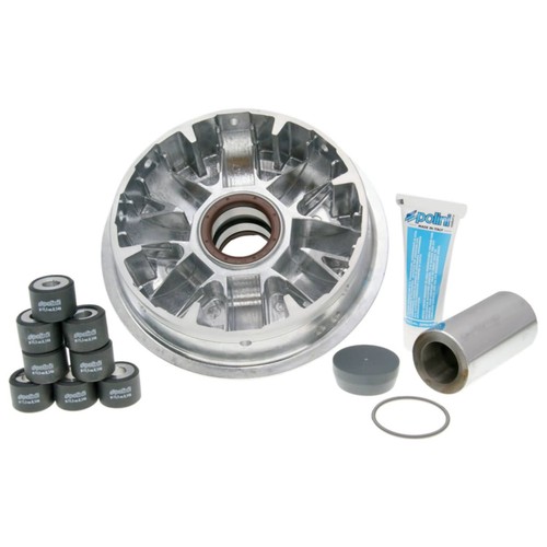 Variatore polini - variatore,