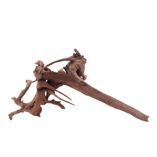 Aquaone driftwood radice - aquaone,