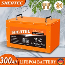 Batteria BMS Bluetooth Shentec 300AH 12,8V 3840Wh LiFePO4 batteria camper barca camper camper