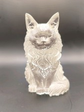 Main Coon / Ragdoll Long