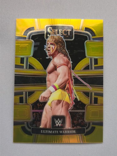 2024 panini wwe - 2024,