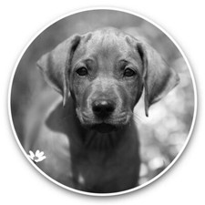 2 x Vinyl Stickers 25cm (bw) -