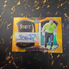 Panini Select Fifa Soccer