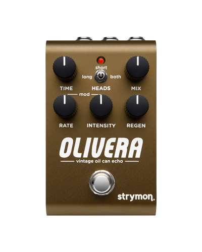 Strymon olivera lattina - strymon,