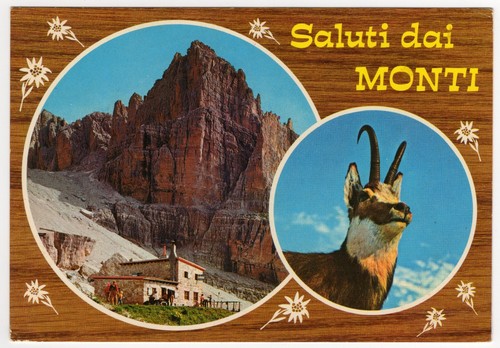 Saluti dai monti perosa - saluti,