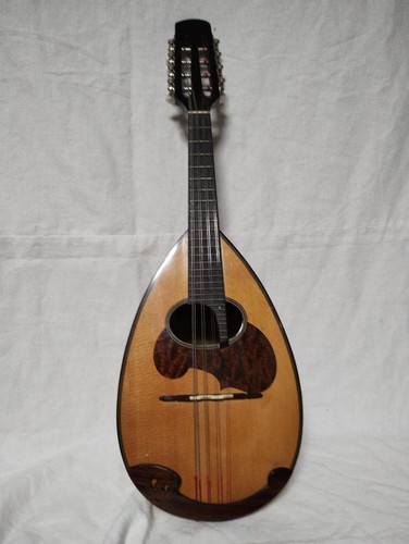 Suzuki mandolino usato - m-30,