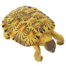  Modello di simulazione della