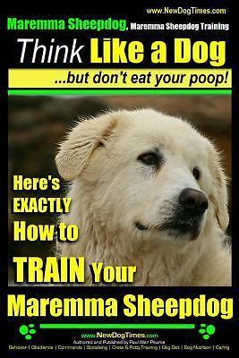 Maremma sheepdog - maremma,
