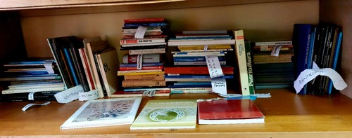 Libri medicina lotto - ,