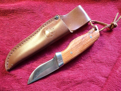Coltello lama corta affilato - lama,
