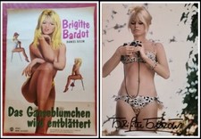 Pizzicare la margherita