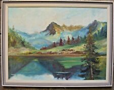 Abete Am Lago Montagna °