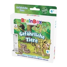 Brain Box / Brain Box Pocket -
