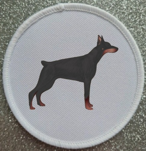 Inch dobermann doberman dog - inch,