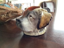 St. Bernard Dog Water