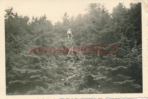 Foto ww2 vacanze - foto,, resina
