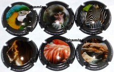 Capsule de Champagne : Bouchet