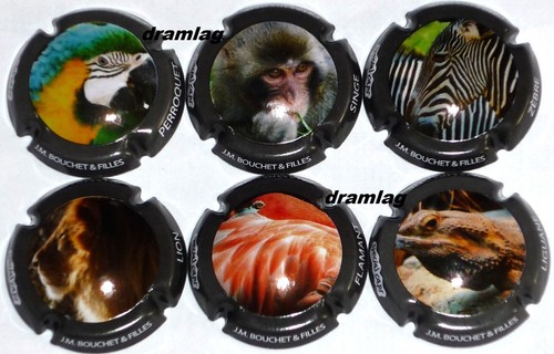 Capsule champagne bouchet - champagne, :