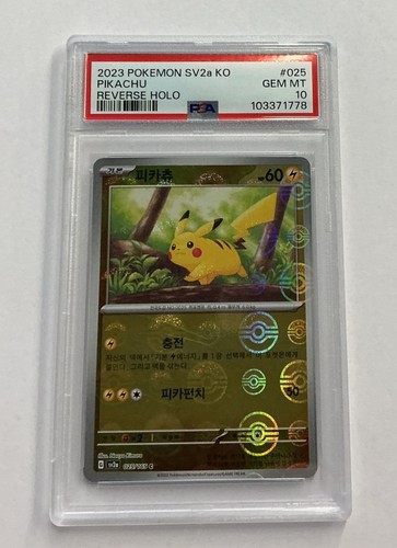 Psa pikachu modello - pikachu,