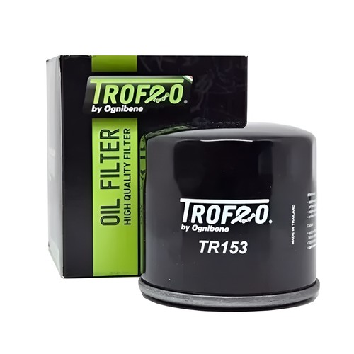22tr153 filtro olio originale - olio,
