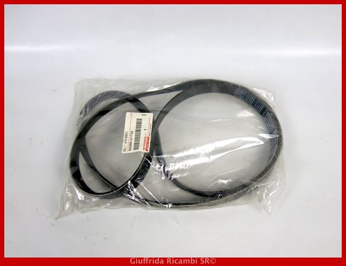 Cinghia servizi poly toyota - servizi, poly-v