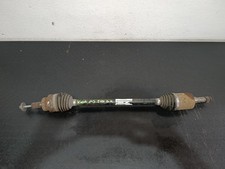 SEMIASSE ALBERO POSTERIORE