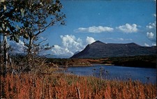 Kodiak Alaska bellissimi