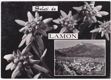 Lamon belluno saluti da - lamon,