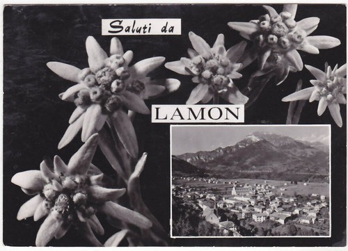 Lamon belluno saluti - lamon,