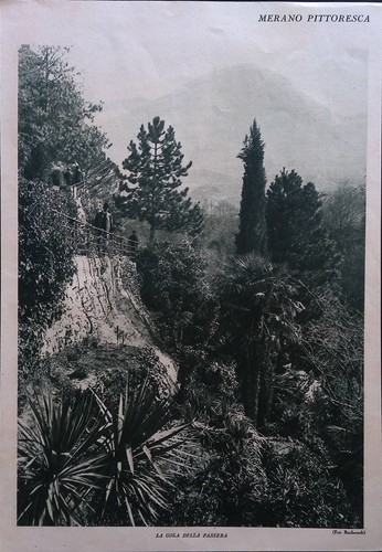 Stampa del 1926 merano gola - del,