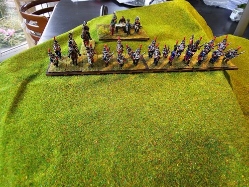 28mm napoleonic line infantry - napoleonic,