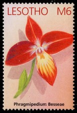 Lesotho 1323a orchidee - -,