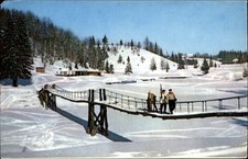 Saluti poiana brasov - saluti,