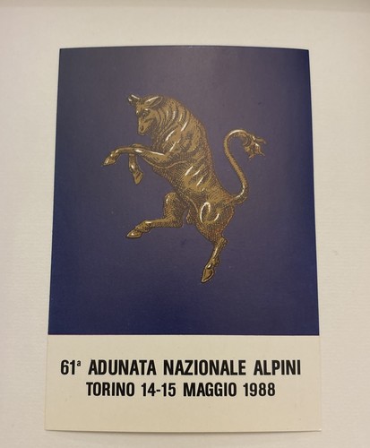 Adunata nazionale alpini - alpini,
