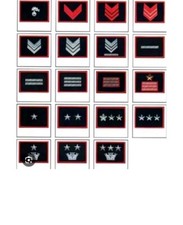 Toppa patch Gradi esercito Italiano Vigilanza Ecc  bandiera softair 2 Pezzi