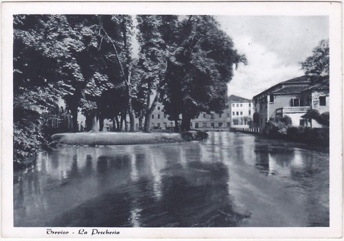 Treviso pescheria 83628 - -,
