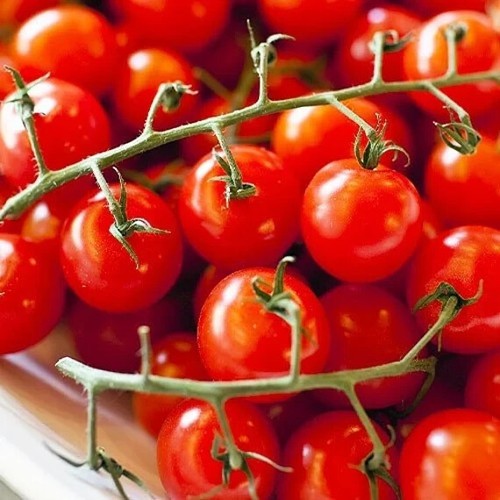 Semi pomodoro ribes - pomodoro,