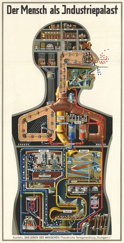 1926 the human factory man - 1926,
