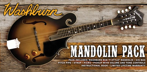Washburn m3ek style - washburn, f-style