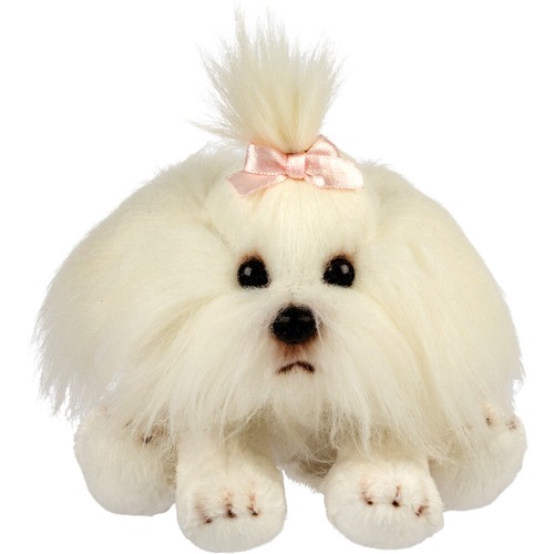 Suki 12179 shih tzu - tzu, 15