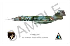 F-104S Squadron Print - Poster 30x45 - Italian Air Force - 5° Stormo