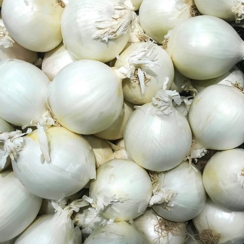 Onions white queen 250 seёds - 250,