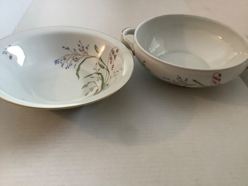 Eschenbach bavaria china - eschenbach, 9”