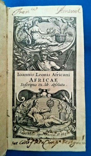 Leo africanus africae - africanus,,